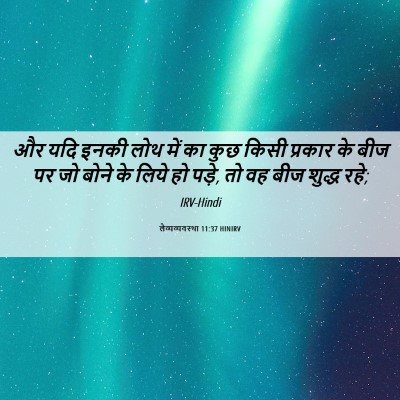 Picture 06 - लैव्यव्यवस्था 11:37 HINIRV - और यदि इनकी लोथ में - Bible Verse Picture
