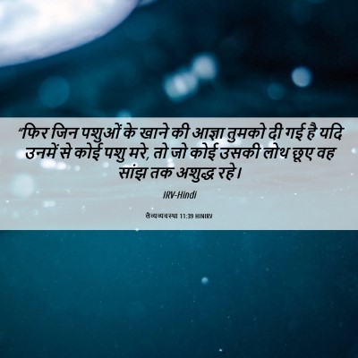 Picture 06 - लैव्यव्यवस्था 11:39 HINIRV - “फिर जिन पशुओं के - Bible Verse Picture