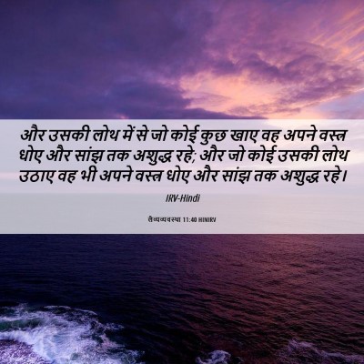 Picture 06 - लैव्यव्यवस्था 11:40 HINIRV - और उसकी लोथ में से - Bible Verse Picture