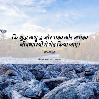 Picture 06 - लैव्यव्यवस्था 11:47 HINIRV - कि शुद्ध अशुद्ध और - Bible Verse Picture
