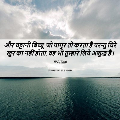 Picture 06 - लैव्यव्यवस्था 11:5 HINIRV - और चट्टानी बिज्जू, - Bible Verse Picture