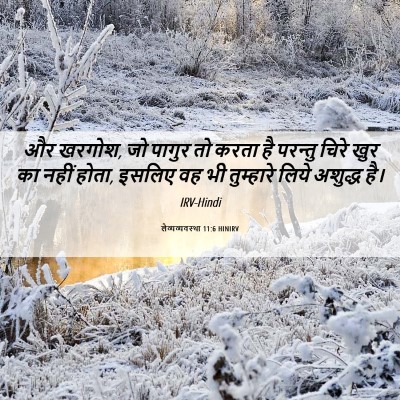 Picture 06 - लैव्यव्यवस्था 11:6 HINIRV - और खरगोश, जो पागुर - Bible Verse Picture