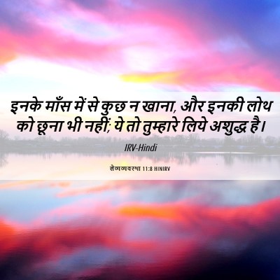 Picture 06 - लैव्यव्यवस्था 11:8 HINIRV - इनके माँस में से - Bible Verse Picture