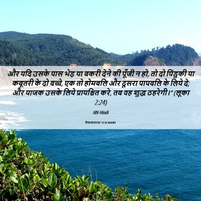Picture 06 - लैव्यव्यवस्था 12:8 HINIRV - और यदि उसके पास - Bible Verse Picture