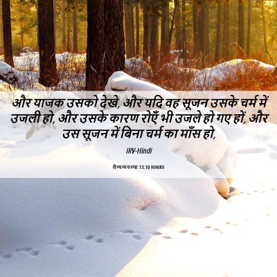 Picture 06 - लैव्यव्यवस्था 13:10 HINIRV - और याजक उसको देखे, - Bible Verse Picture