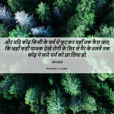 Picture 06 - लैव्यव्यवस्था 13:12 HINIRV - और यदि कोढ़ किसी के - Bible Verse Picture