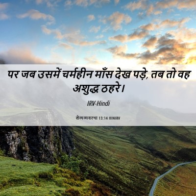 Picture 06 - लैव्यव्यवस्था 13:14 HINIRV - पर जब उसमें - Bible Verse Picture