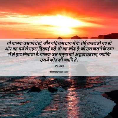 Picture 06 - लैव्यव्यवस्था 13:25 HINIRV - तो याजक उसको देखे, - Bible Verse Picture