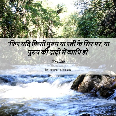 Picture 06 - लैव्यव्यवस्था 13:29 HINIRV - “फिर यदि किसी - Bible Verse Picture