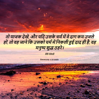 Picture 06 - लैव्यव्यवस्था 13:39 HINIRV - तो याजक देखे, और - Bible Verse Picture