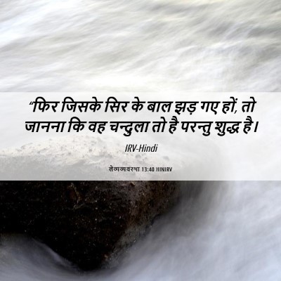 Picture 06 - लैव्यव्यवस्था 13:40 HINIRV - “फिर जिसके सिर के - Bible Verse Picture