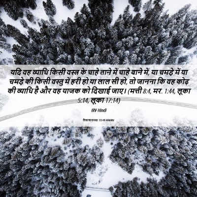 Picture 06 - लैव्यव्यवस्था 13:49 HINIRV - यदि वह व्याधि किसी - Bible Verse Picture