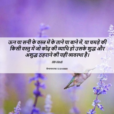 Picture 06 - लैव्यव्यवस्था 13:59 HINIRV - ऊन या सनी के वस्त्र - Bible Verse Picture
