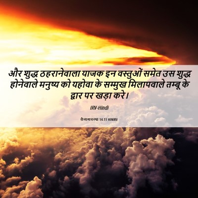 Picture 06 - लैव्यव्यवस्था 14:11 HINIRV - और शुद्ध - Bible Verse Picture
