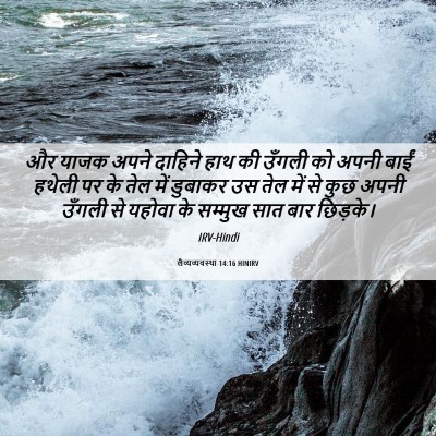 Picture 06 - लैव्यव्यवस्था 14:16 HINIRV - और याजक अपने - Bible Verse Picture