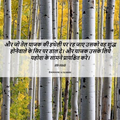 Picture 06 - लैव्यव्यवस्था 14:18 HINIRV - और जो तेल याजक की - Bible Verse Picture