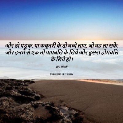 Picture 06 - लैव्यव्यवस्था 14:22 HINIRV - और दो पंडुक, या - Bible Verse Picture
