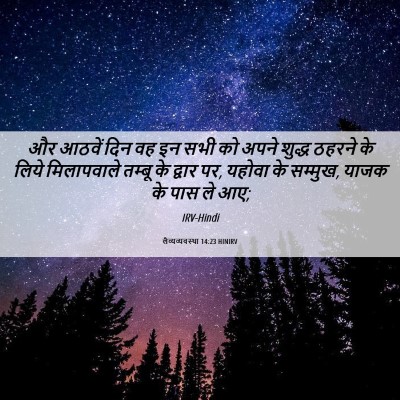 Picture 06 - लैव्यव्यवस्था 14:23 HINIRV - और आठवें दिन वह इन - Bible Verse Picture