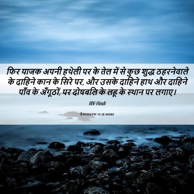 Picture 06 - लैव्यव्यवस्था 14:28 HINIRV - फिर याजक अपनी - Bible Verse Picture