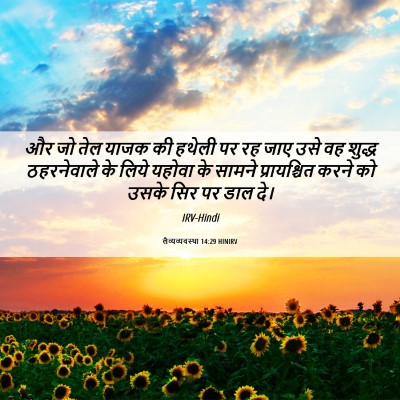 Picture 06 - लैव्यव्यवस्था 14:29 HINIRV - और जो तेल याजक की - Bible Verse Picture