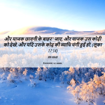 Picture 06 - लैव्यव्यवस्था 14:3 HINIRV - और याजक छावनी के - Bible Verse Picture