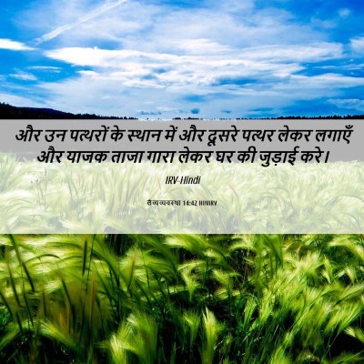 Picture 06 - लैव्यव्यवस्था 14:42 HINIRV - और उन पत्थरों के - Bible Verse Picture