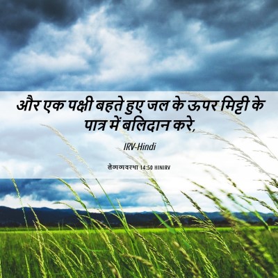 Picture 06 - लैव्यव्यवस्था 14:50 HINIRV - और एक पक्षी बहते - Bible Verse Picture