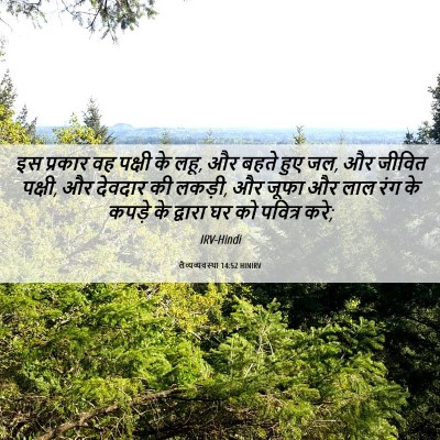 Picture 06 - लैव्यव्यवस्था 14:52 HINIRV - इस प्रकार वह पक्षी - Bible Verse Picture