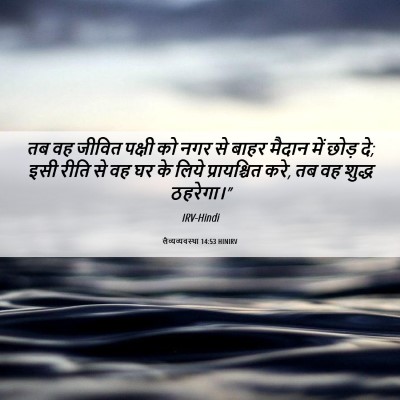 Picture 06 - लैव्यव्यवस्था 14:53 HINIRV - तब वह जीवित पक्षी - Bible Verse Picture