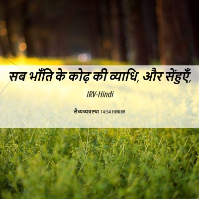 Picture 06 - लैव्यव्यवस्था 14:54 HINIRV - सब भाँति के कोढ़ की - Bible Verse Picture