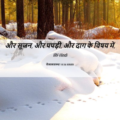Picture 06 - लैव्यव्यवस्था 14:56 HINIRV - और सूजन, और पपड़ी, - Bible Verse Picture