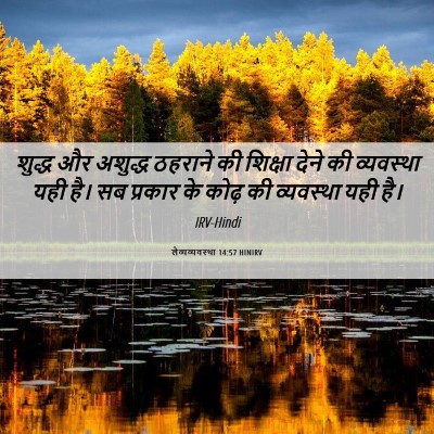 Picture 06 - लैव्यव्यवस्था 14:57 HINIRV - शुद्ध और अशुद्ध - Bible Verse Picture
