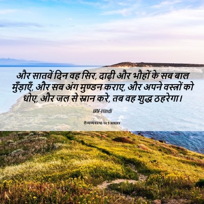 Picture 06 - लैव्यव्यवस्था 14:9 HINIRV - और सातवें दिन वह - Bible Verse Picture