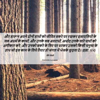 Picture 06 - लैव्यव्यवस्था 16:21 HINIRV - और हारून अपने - Bible Verse Picture