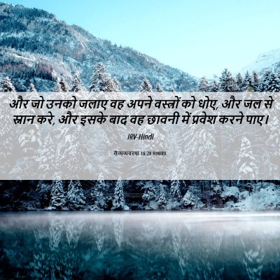Picture 06 - लैव्यव्यवस्था 16:28 HINIRV - और जो उनको जलाए वह - Bible Verse Picture
