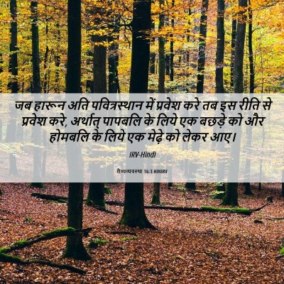 Picture 06 - लैव्यव्यवस्था 16:3 HINIRV - जब हारून अति - Bible Verse Picture