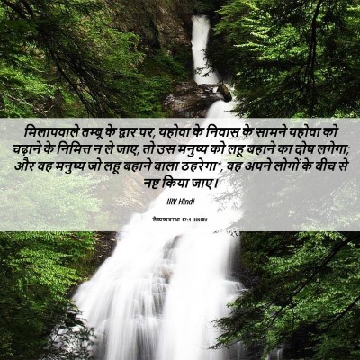 Picture 06 - लैव्यव्यवस्था 17:4 HINIRV - मिलापवाले तम्बू - Bible Verse Picture