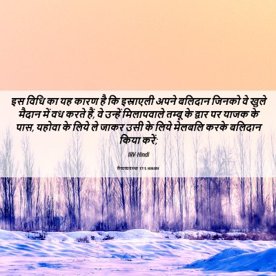 Picture 06 - लैव्यव्यवस्था 17:5 HINIRV - इस विधि का यह कारण - Bible Verse Picture