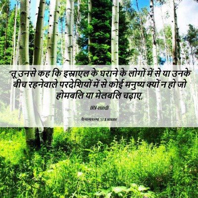Picture 06 - लैव्यव्यवस्था 17:8 HINIRV - “तू उनसे कह कि - Bible Verse Picture