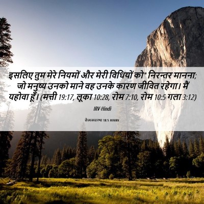 Picture 06 - लैव्यव्यवस्था 18:5 HINIRV - इसलिए तुम मेरे - Bible Verse Picture