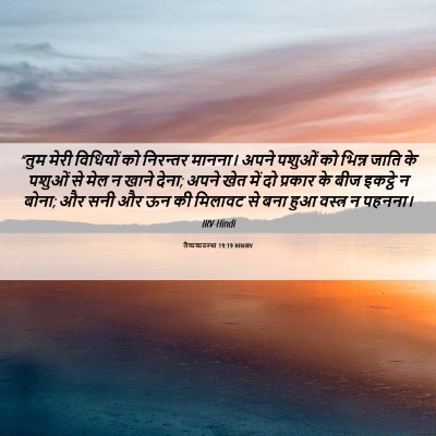 Picture 06 - लैव्यव्यवस्था 19:19 HINIRV - “तुम मेरी विधियों - Bible Verse Picture