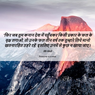 Picture 06 - लैव्यव्यवस्था 19:23 HINIRV - “फिर जब तुम कनान - Bible Verse Picture