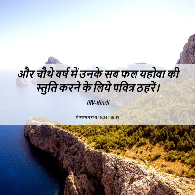 Picture 06 - लैव्यव्यवस्था 19:24 HINIRV - और चौथे वर्ष में - Bible Verse Picture