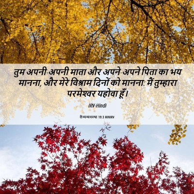 Picture 06 - लैव्यव्यवस्था 19:3 HINIRV - तुम अपनी-अपनी माता - Bible Verse Picture