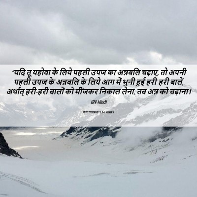 Picture 06 - लैव्यव्यवस्था 2:14 HINIRV - “यदि तू यहोवा के - Bible Verse Picture