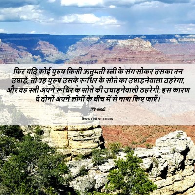 Picture 06 - लैव्यव्यवस्था 20:18 HINIRV - फिर यदि कोई पुरुष - Bible Verse Picture