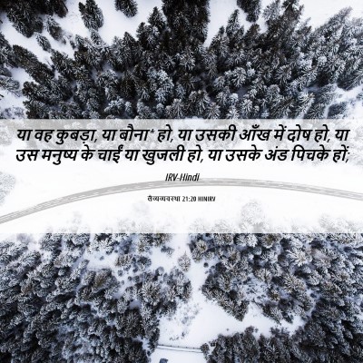 Picture 06 - लैव्यव्यवस्था 21:20 HINIRV - या वह कुबड़ा, या - Bible Verse Picture