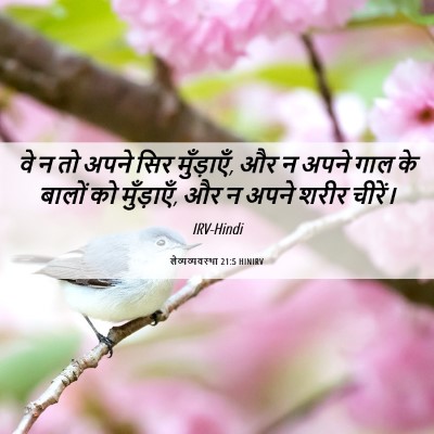 Picture 06 - लैव्यव्यवस्था 21:5 HINIRV - वे न तो अपने सिर - Bible Verse Picture
