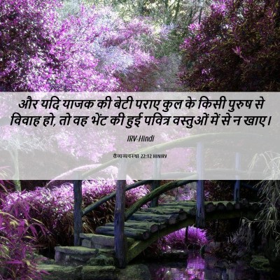 Picture 06 - लैव्यव्यवस्था 22:12 HINIRV - और यदि याजक की बेटी - Bible Verse Picture