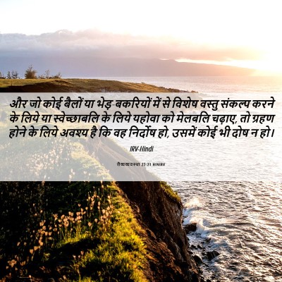 Picture 06 - लैव्यव्यवस्था 22:21 HINIRV - और जो कोई बैलों या - Bible Verse Picture